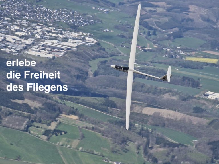 72c8caa3-63d9-4f59-a264-278c9b465f79